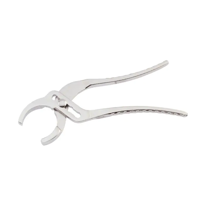 Pince Sanitaire Haute Pression 6" Simple Broche Inox T304 Sans Marque - Neuf