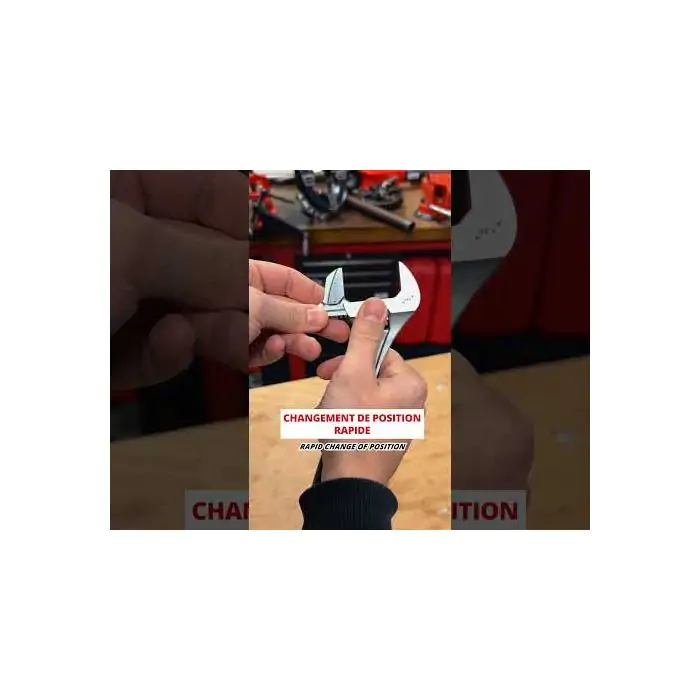 0170 : Adjustable wrench with reversible jaw